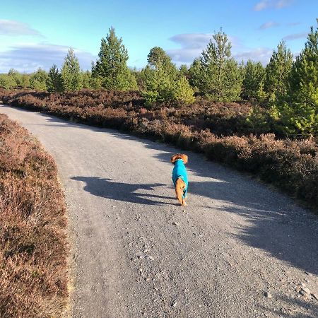 Ventoux Villa Aviemore Eksteriør bilde